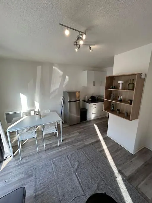 Διαμέρισμα Appartement Avec Parking Gratuit Τουλούζη Γαλλία
